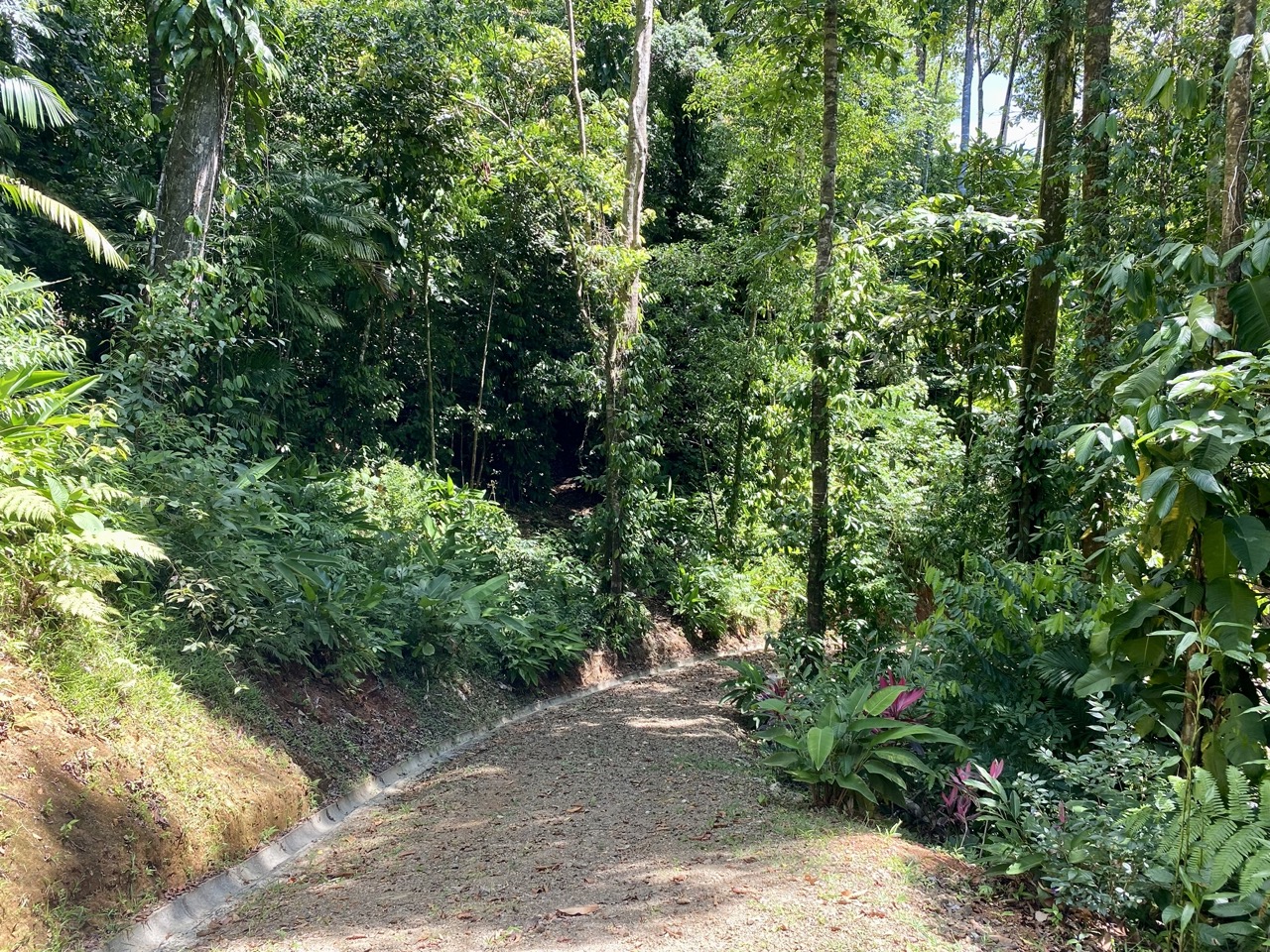 0 bed Land For Sale in Ojochal, Puntarenas - thumb 10