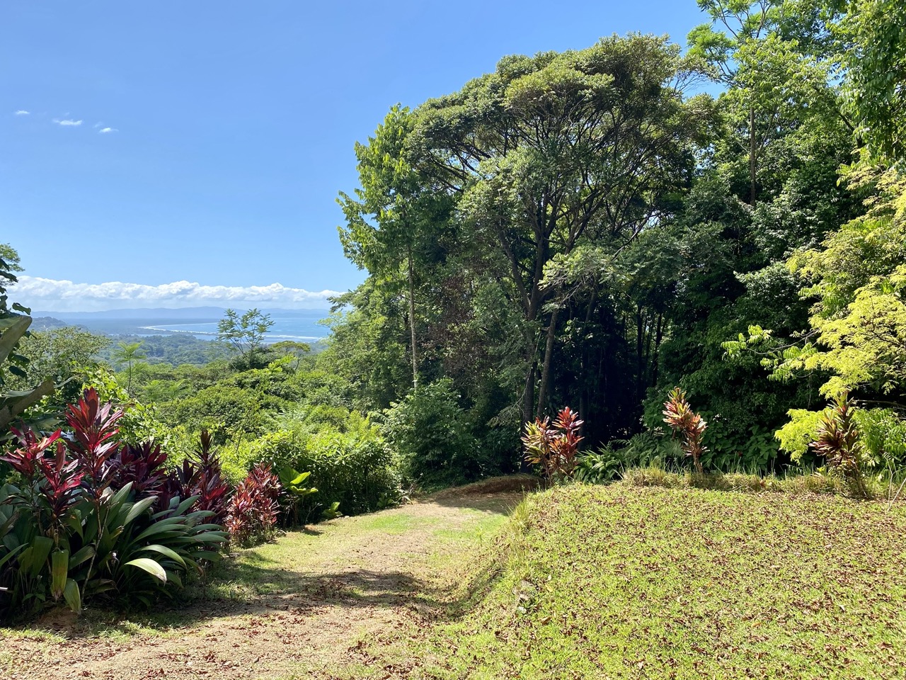 0 bed Land For Sale in Ojochal, Puntarenas - thumb 8