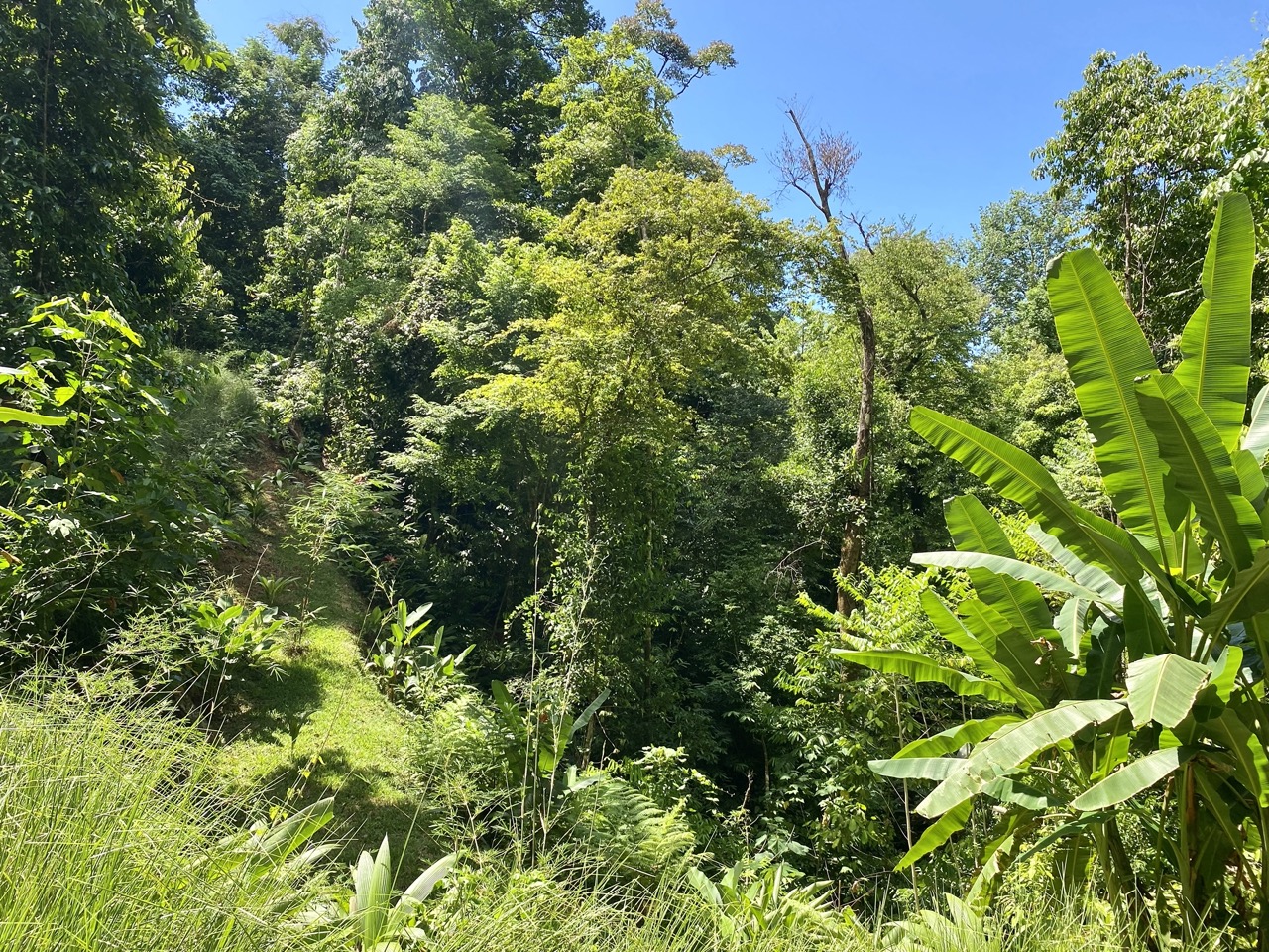 0 bed Land For Sale in Ojochal, Puntarenas - thumb 11