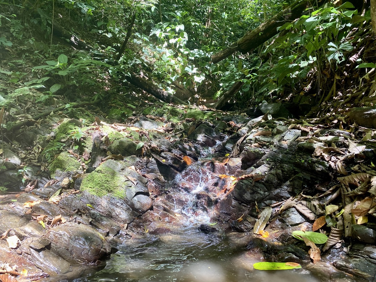 0 bed Land For Sale in Ojochal, Puntarenas - thumb 16
