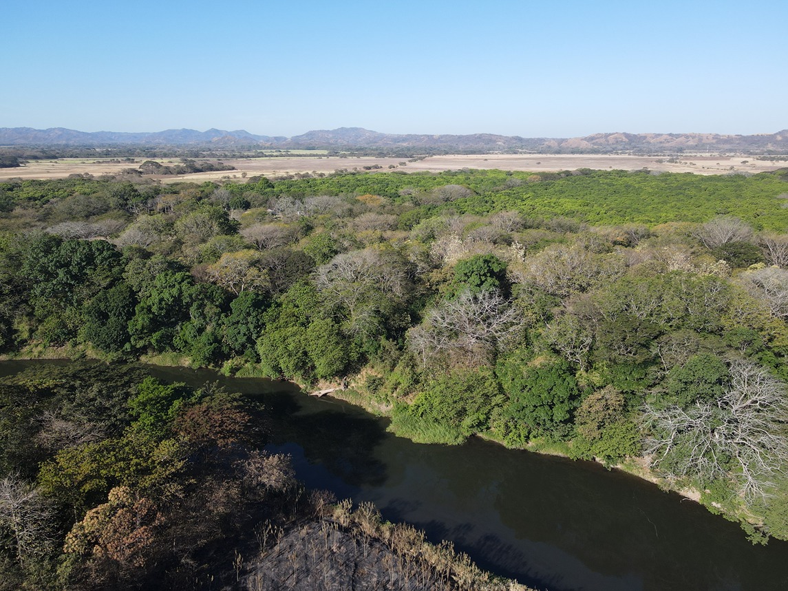 0 bed Land For Sale in Sardinal, Guanacaste - thumb 5