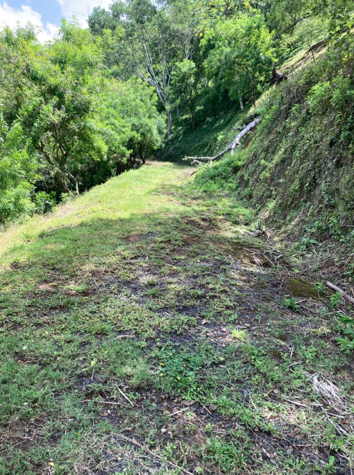 3 bed Single Family Homes For Sale in Atenas, Alajuela - thumb 23