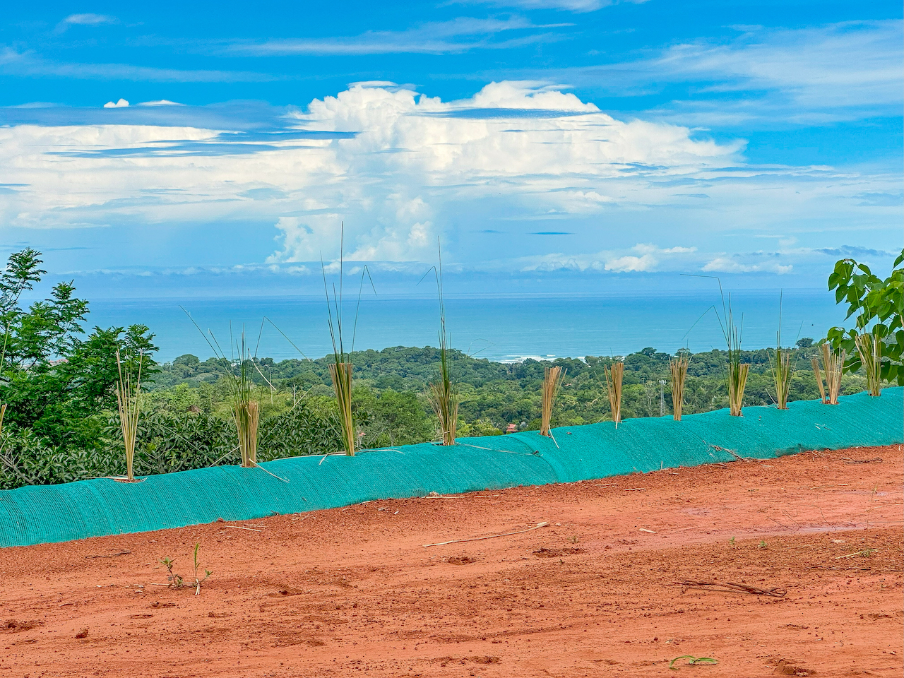 0 bed Land For Sale in Ojochal, Puntarenas - thumb 14