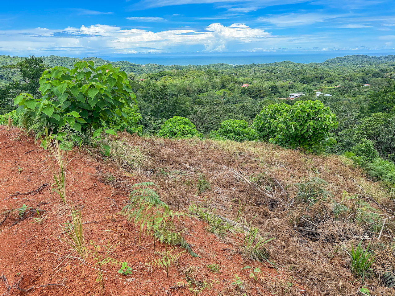 0 bed Land For Sale in Ojochal, Puntarenas - thumb 18