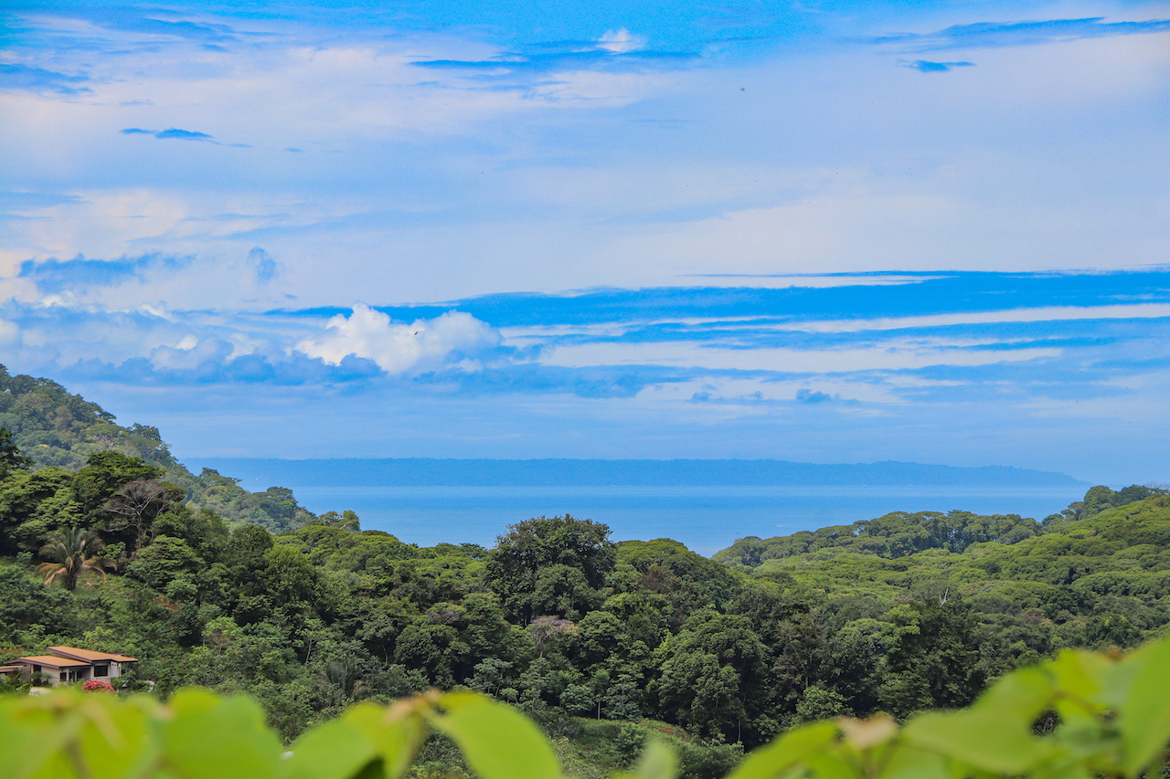 0 bed Land For Sale in Ojochal, Puntarenas - thumb 5