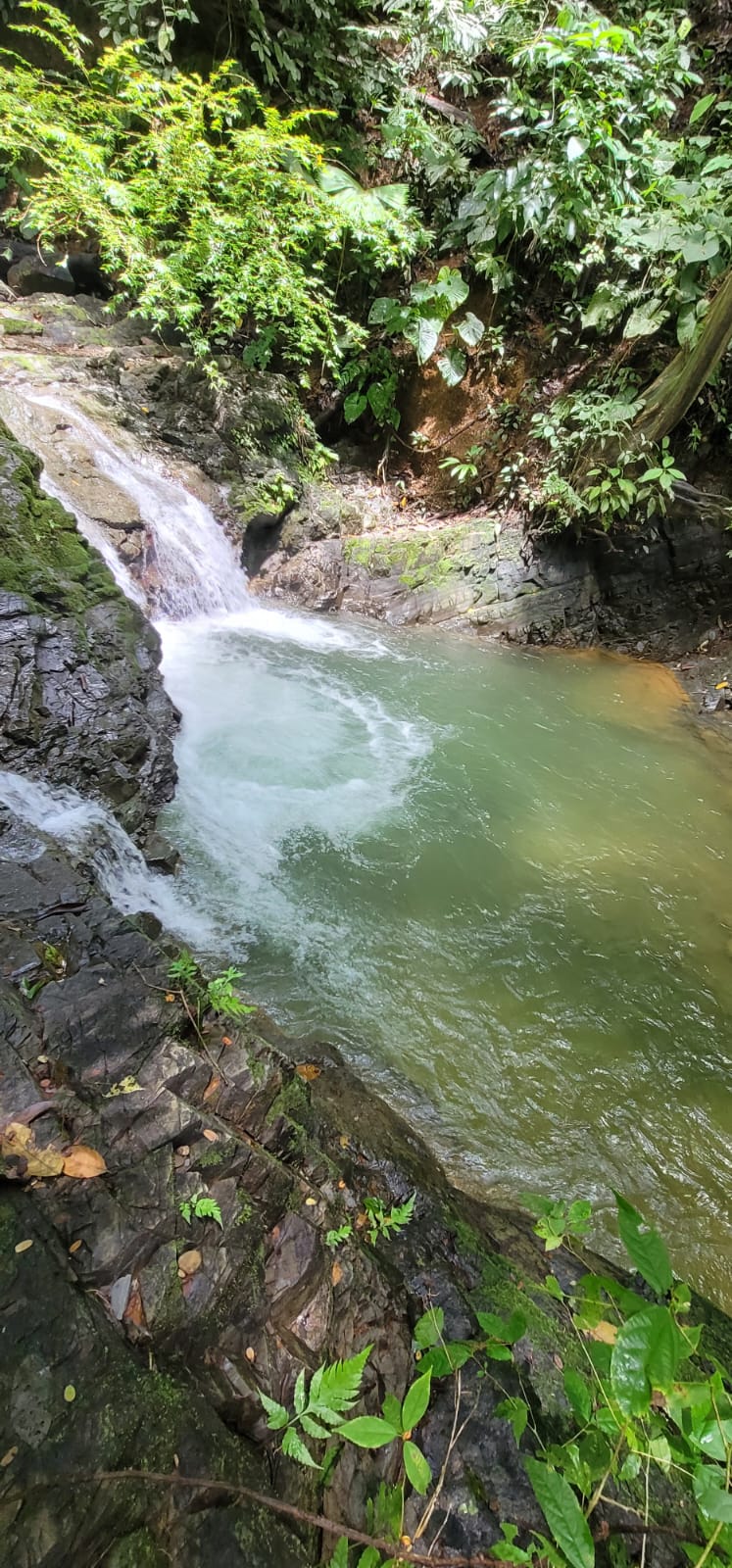 4 bed Single Family Homes For Sale in Ojochal, Puntarenas - thumb 23