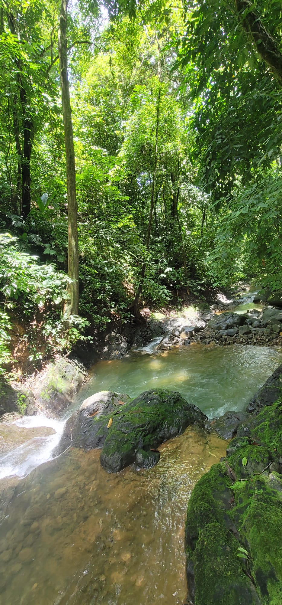 4 bed Single Family Homes For Sale in Ojochal, Puntarenas - thumb 25