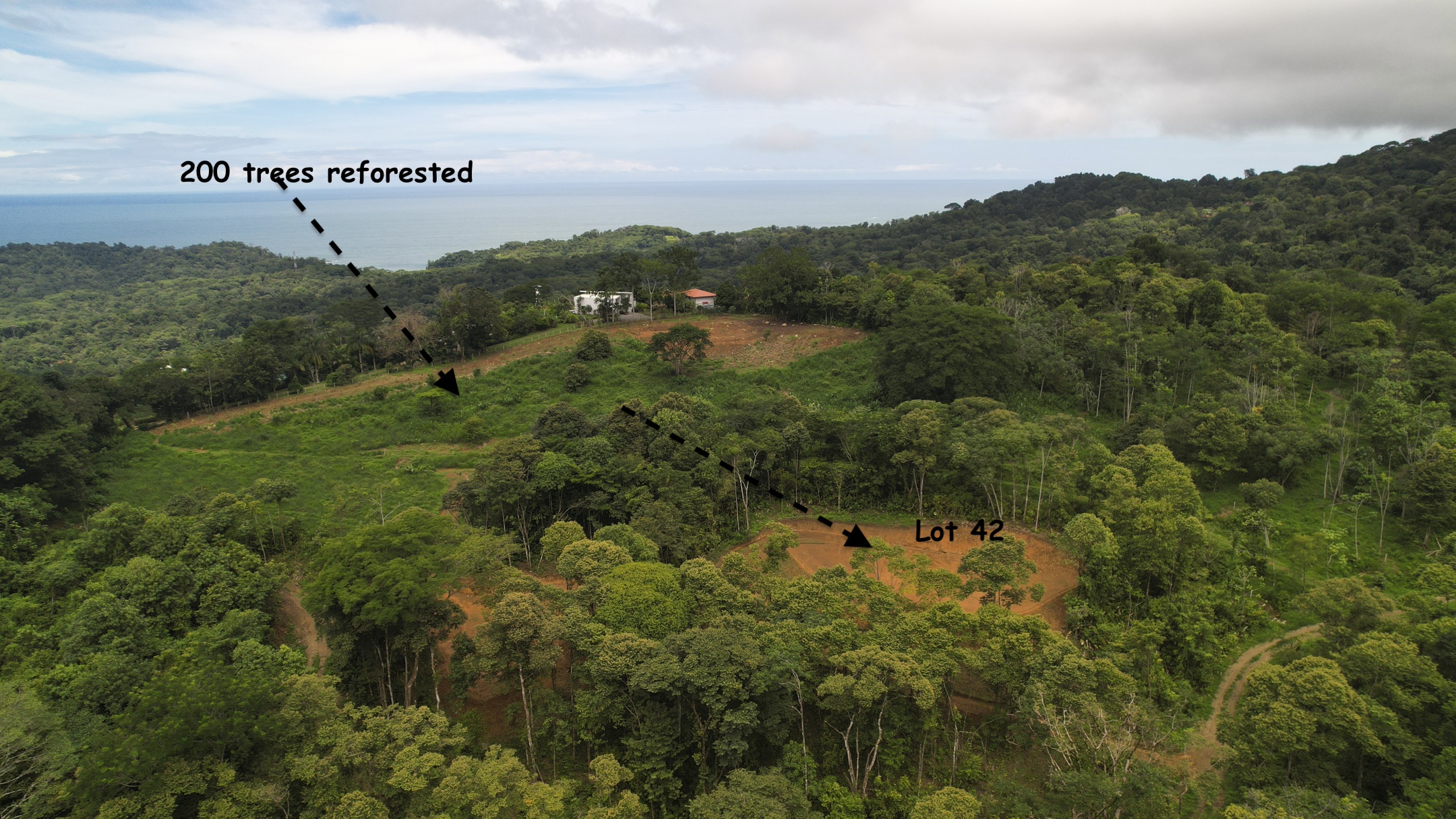 0 bed Communities For Sale in Ojochal, Puntarenas - thumb 14