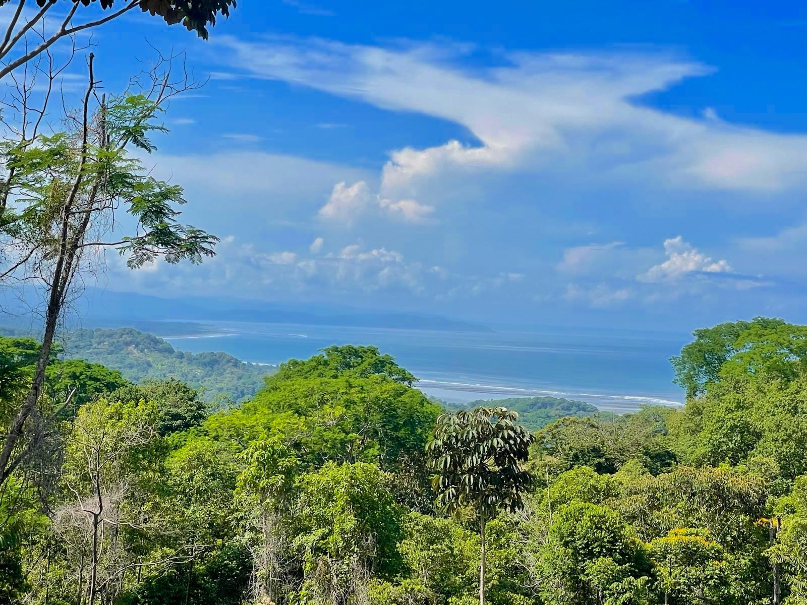 0 bed Communities For Sale in Ojochal, Puntarenas - thumb 1