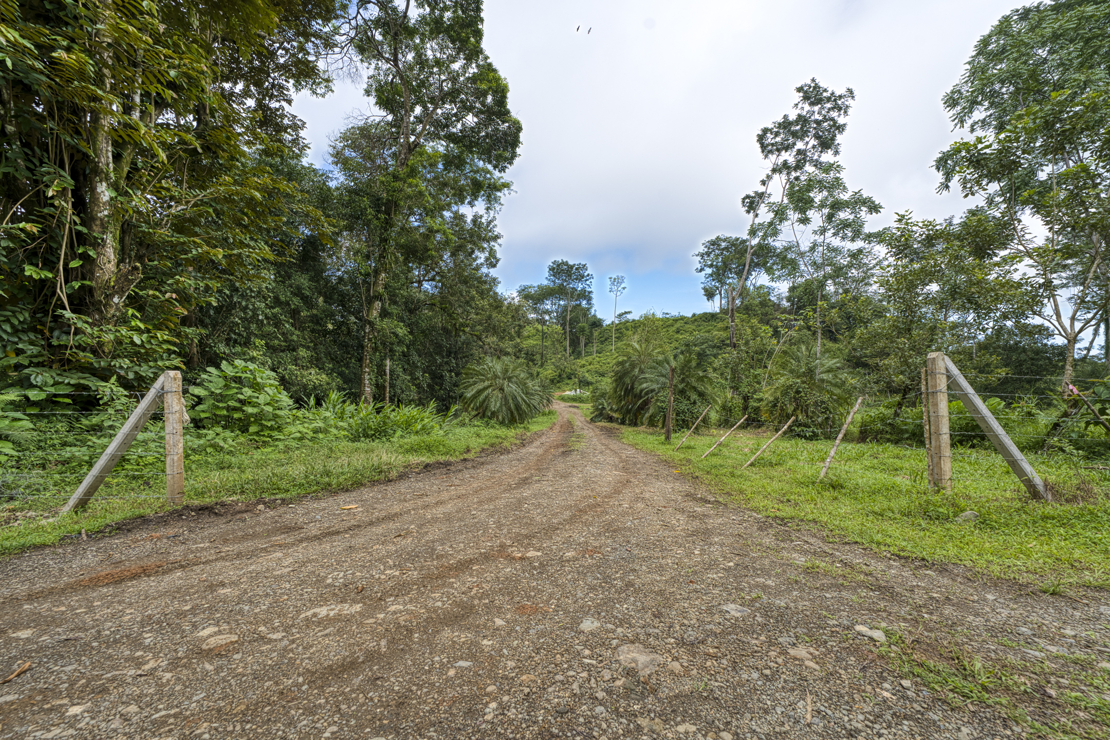 0 bed Communities For Sale in Ojochal, Puntarenas - thumb 29