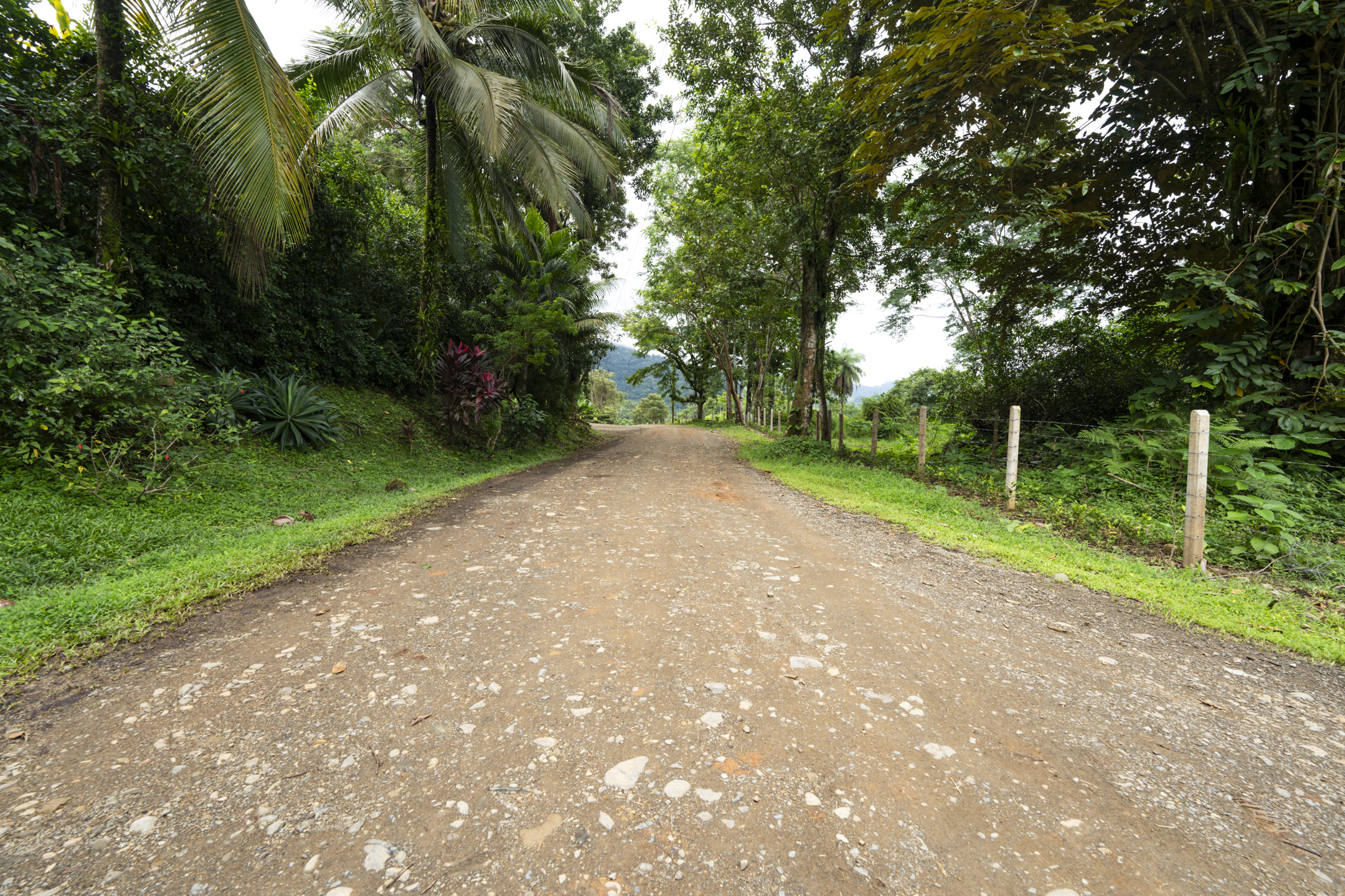 0 bed Communities For Sale in Ojochal, Puntarenas - thumb 27