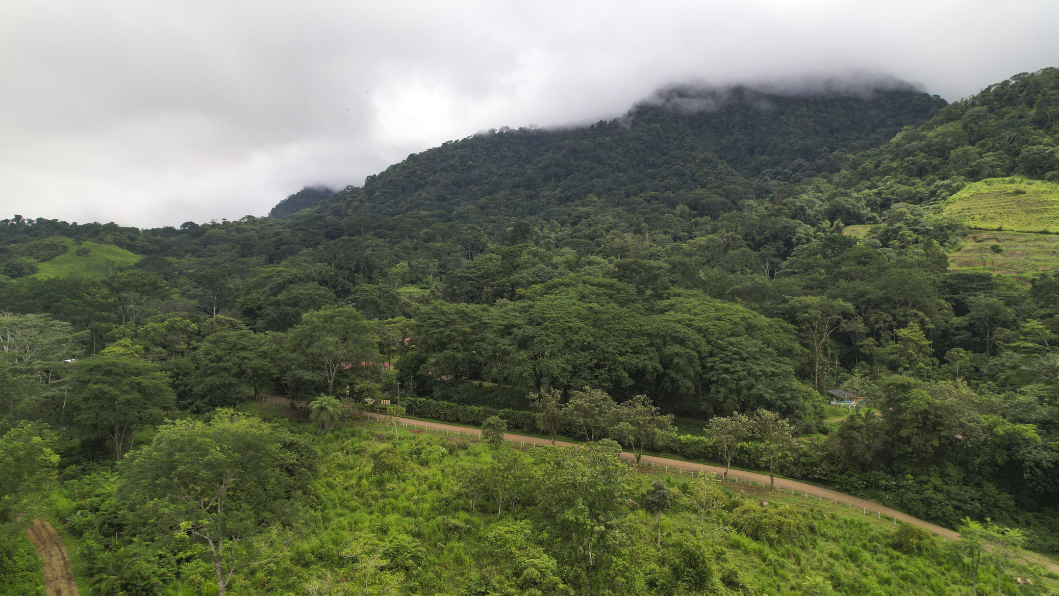 0 bed Communities For Sale in Ojochal, Puntarenas - thumb 19