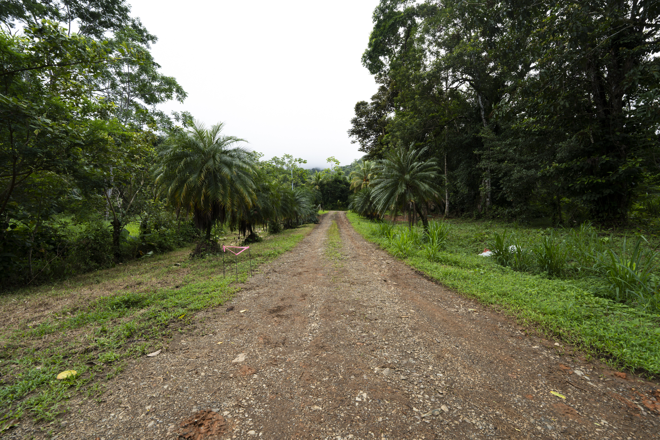 0 bed Communities For Sale in Ojochal, Puntarenas - thumb 28