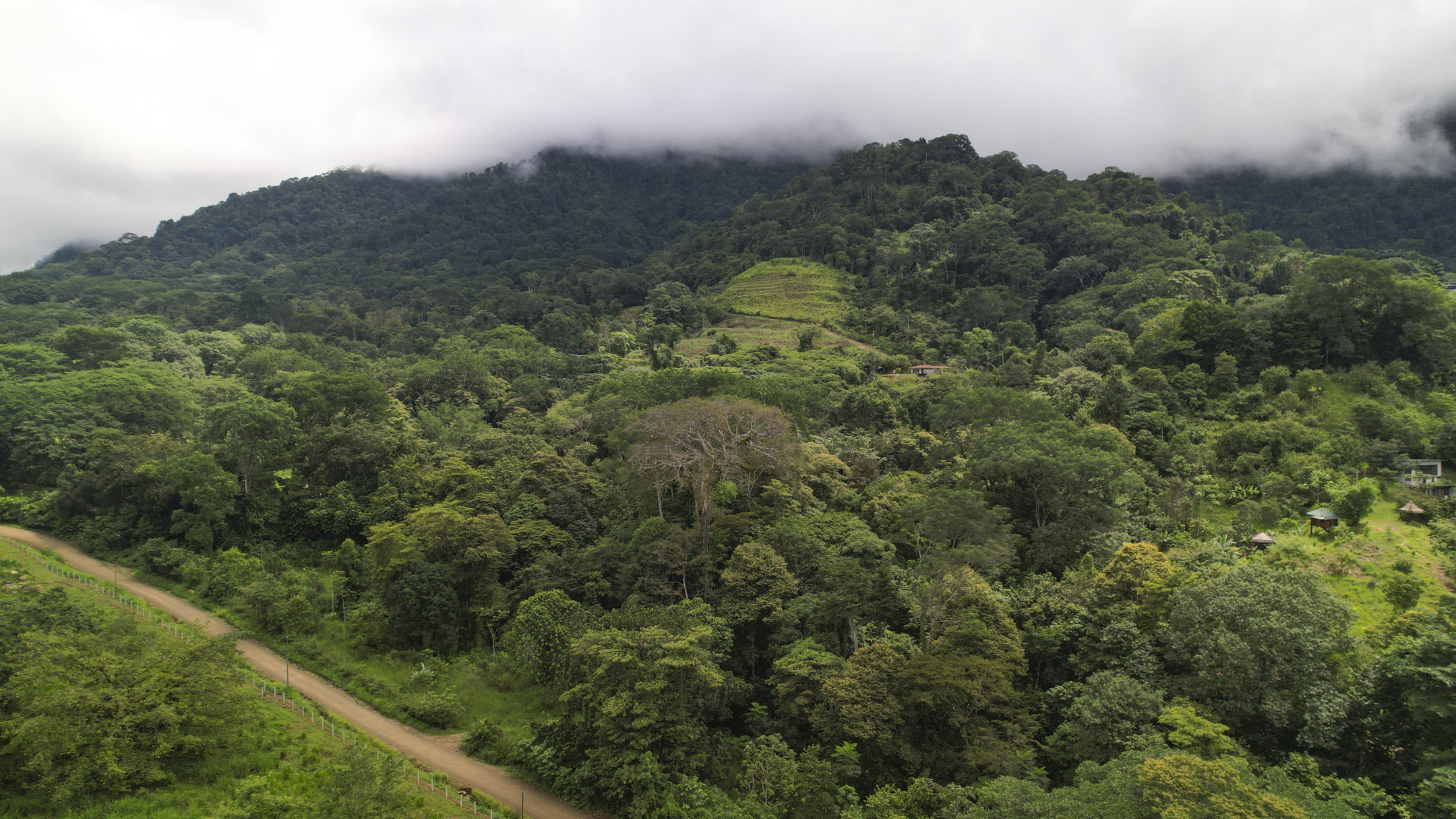 0 bed Communities For Sale in Ojochal, Puntarenas - thumb 18