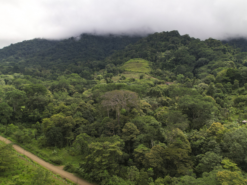 0 bed Communities For Sale in Ojochal, Puntarenas - thumb 18
