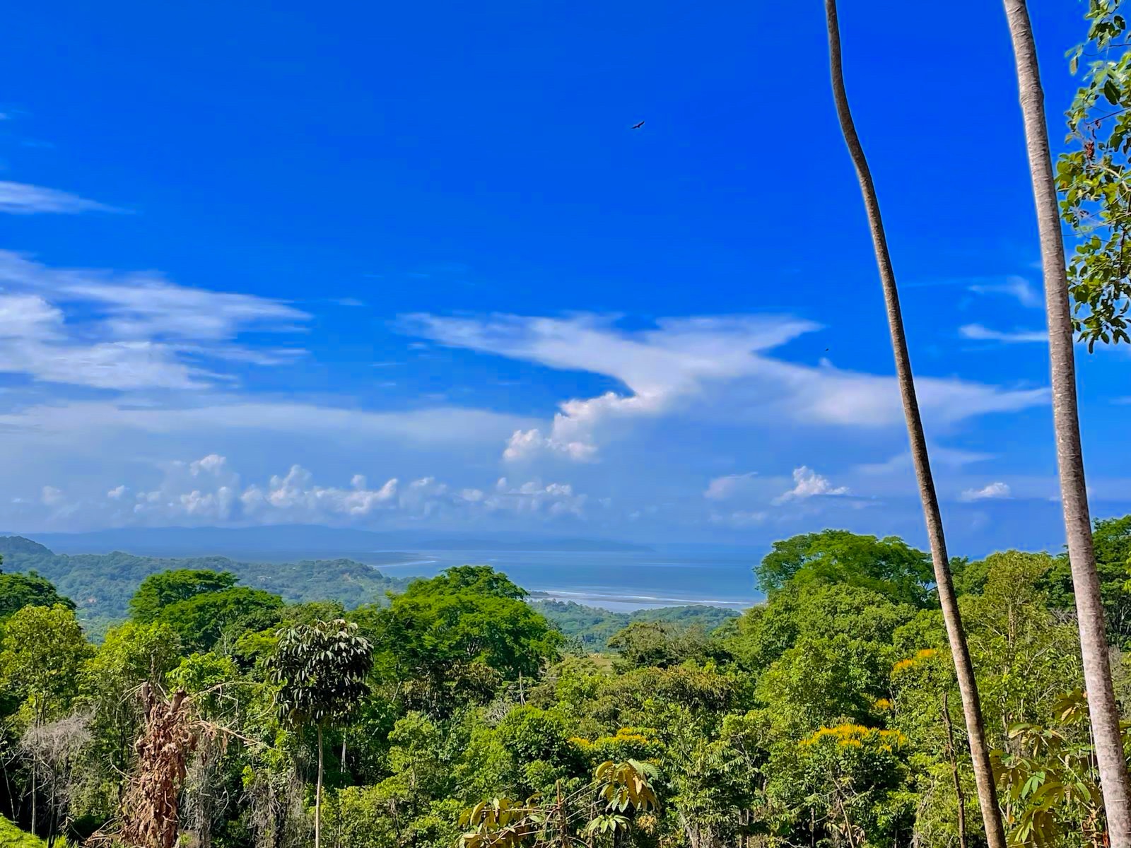 0 bed Communities For Sale in Ojochal, Puntarenas - thumb 5