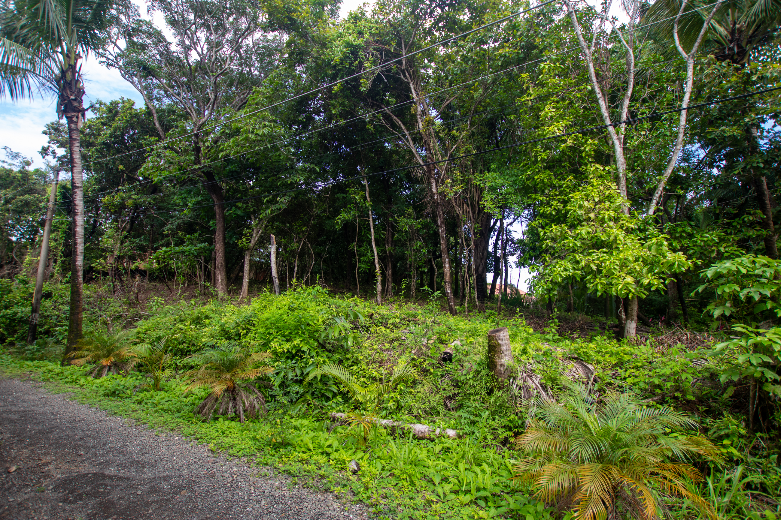0 bed Land For Sale in Nosara, Guanacaste - thumb 2