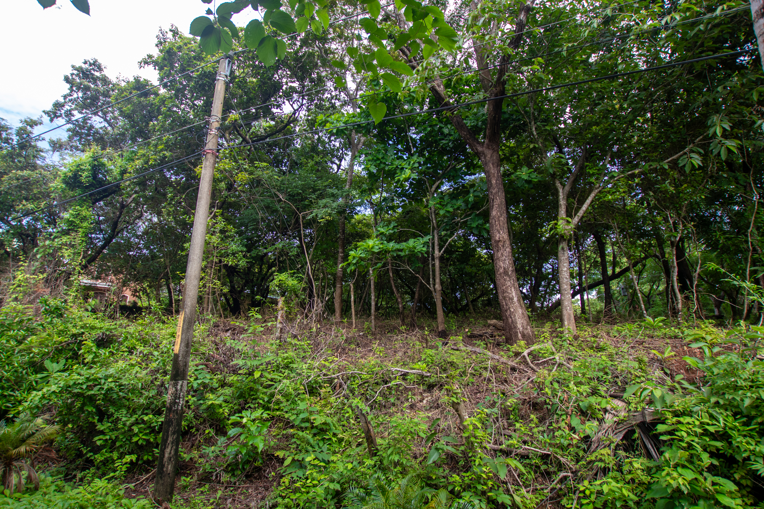 0 bed Land For Sale in Nosara, Guanacaste - thumb 1