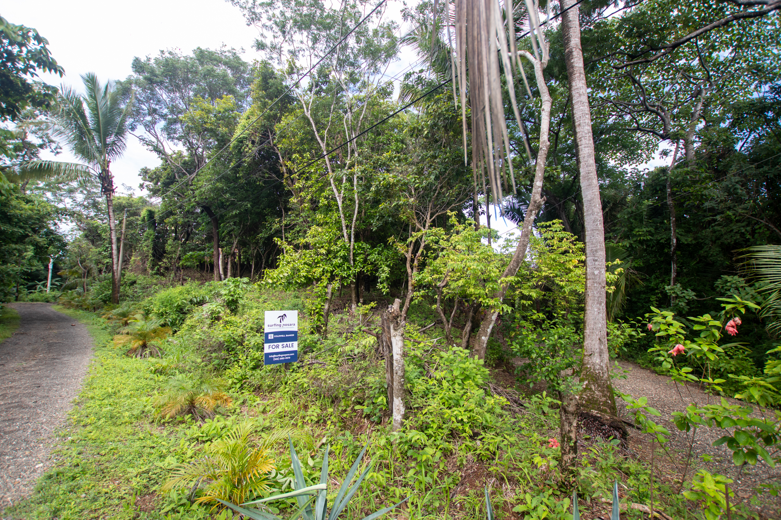 0 bed Land For Sale in Nosara, Guanacaste - thumb 3