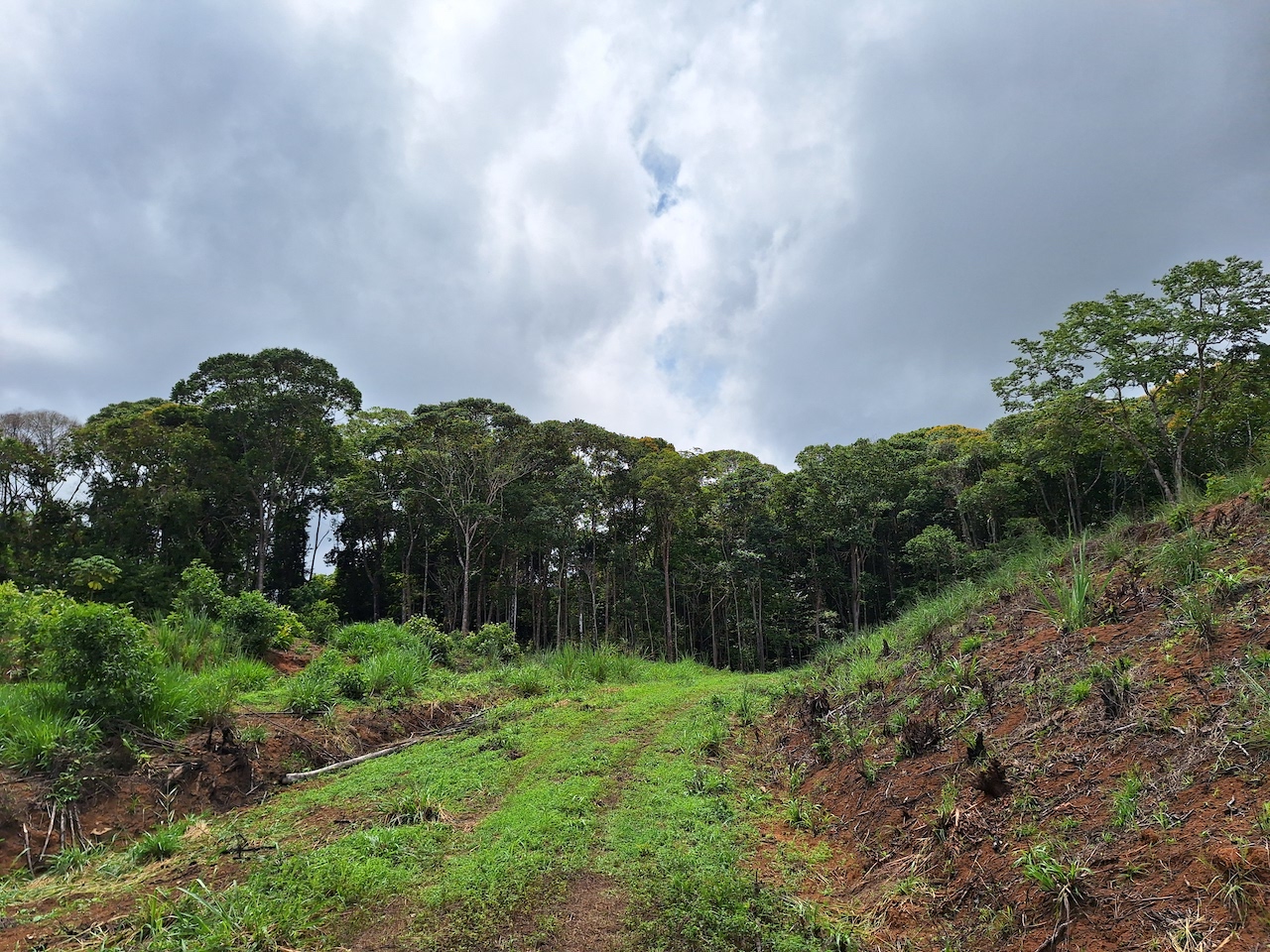 0 bed Land For Sale in Perez Zeledon, San Jose - thumb 5