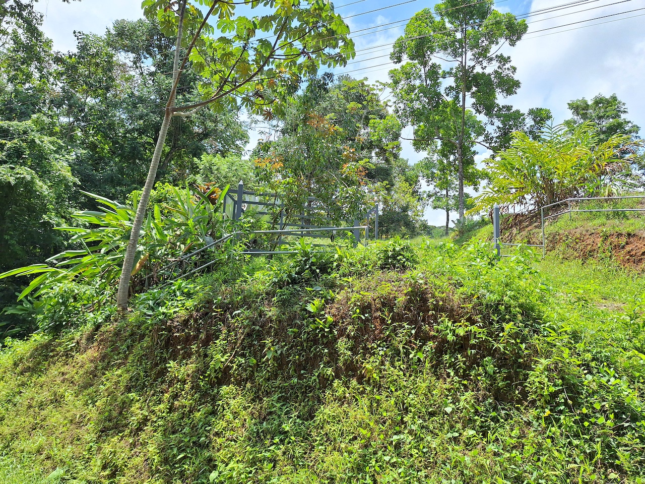 0 bed Land For Sale in Perez Zeledon, San Jose - thumb 16