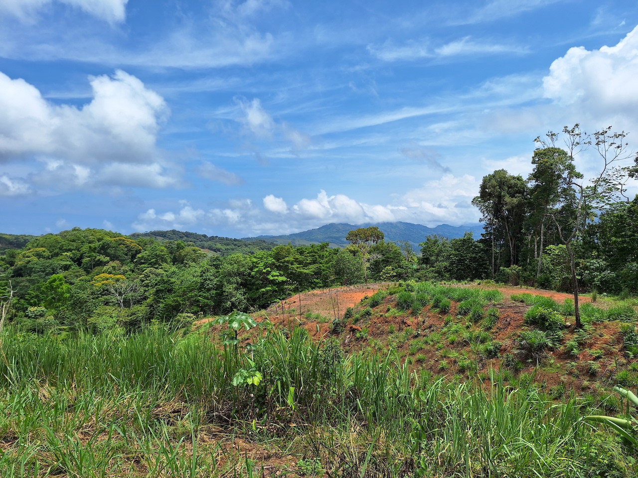 0 bed Land For Sale in Perez Zeledon, San Jose - thumb 3