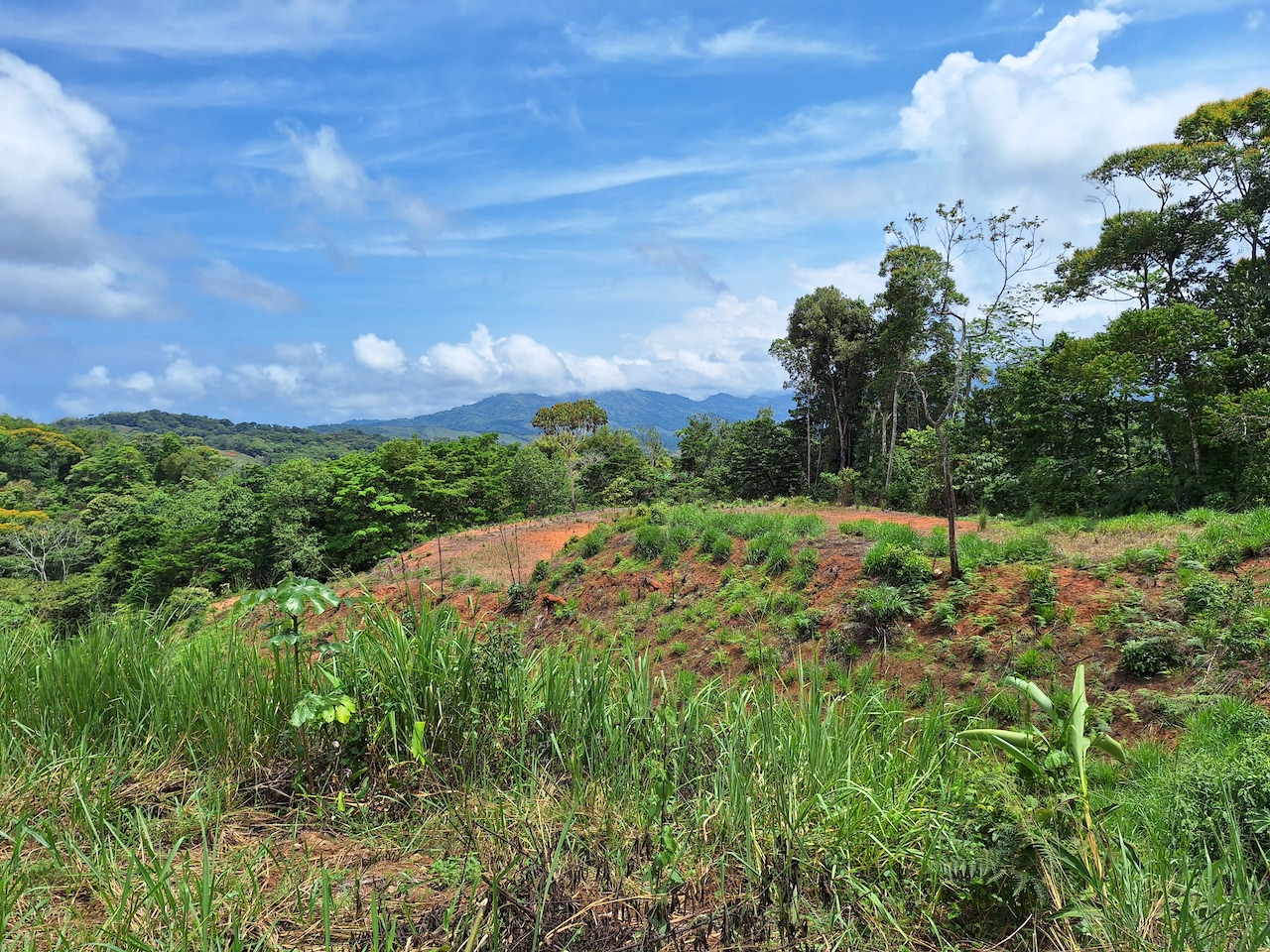 0 bed Land For Sale in Perez Zeledon, San Jose - thumb 2