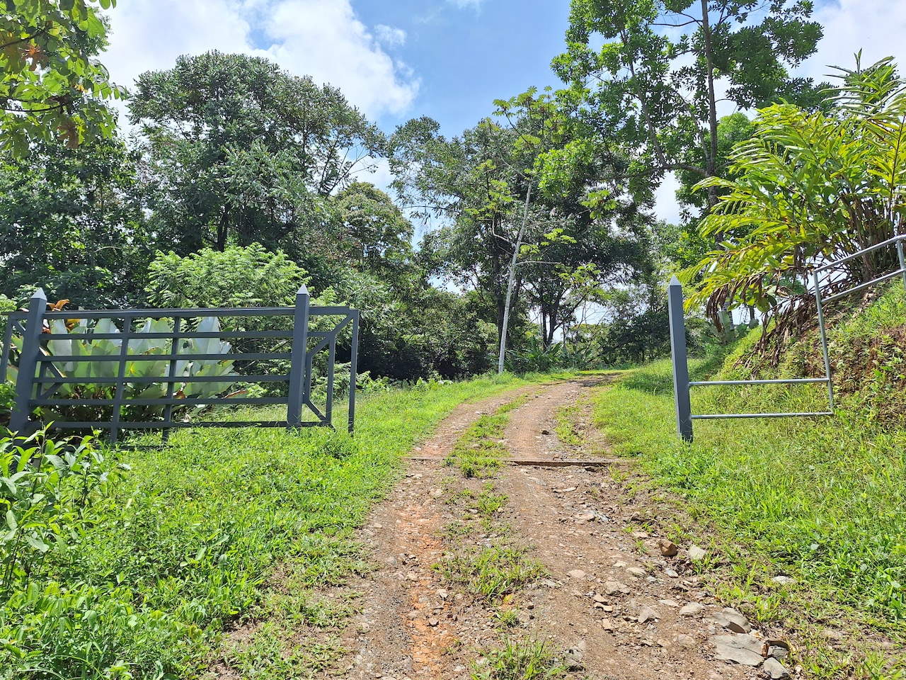 0 bed Land For Sale in Perez Zeledon, San Jose - thumb 15