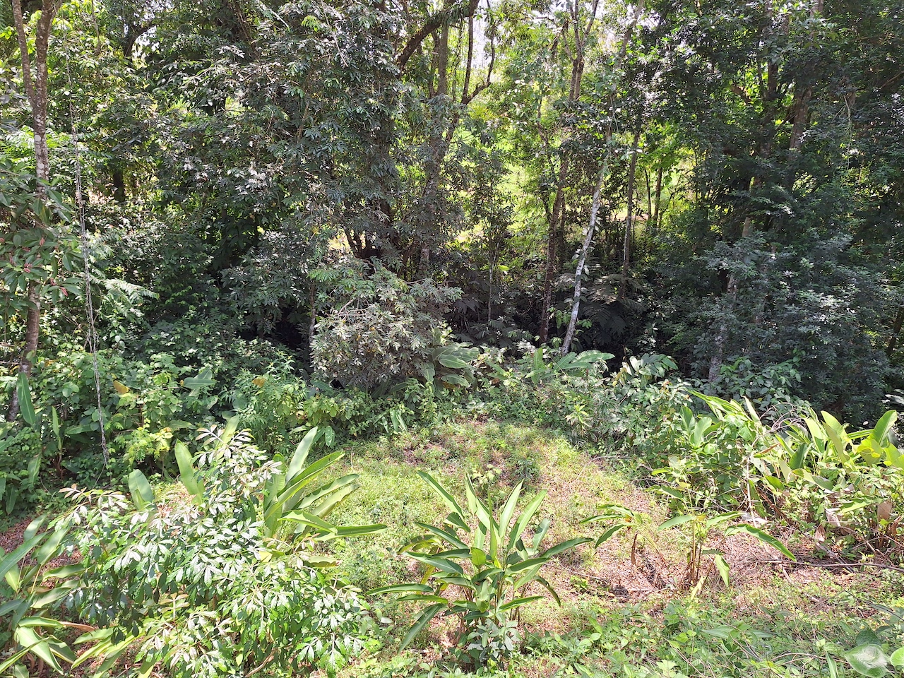 0 bed Land For Sale in Perez Zeledon, San Jose - thumb 14