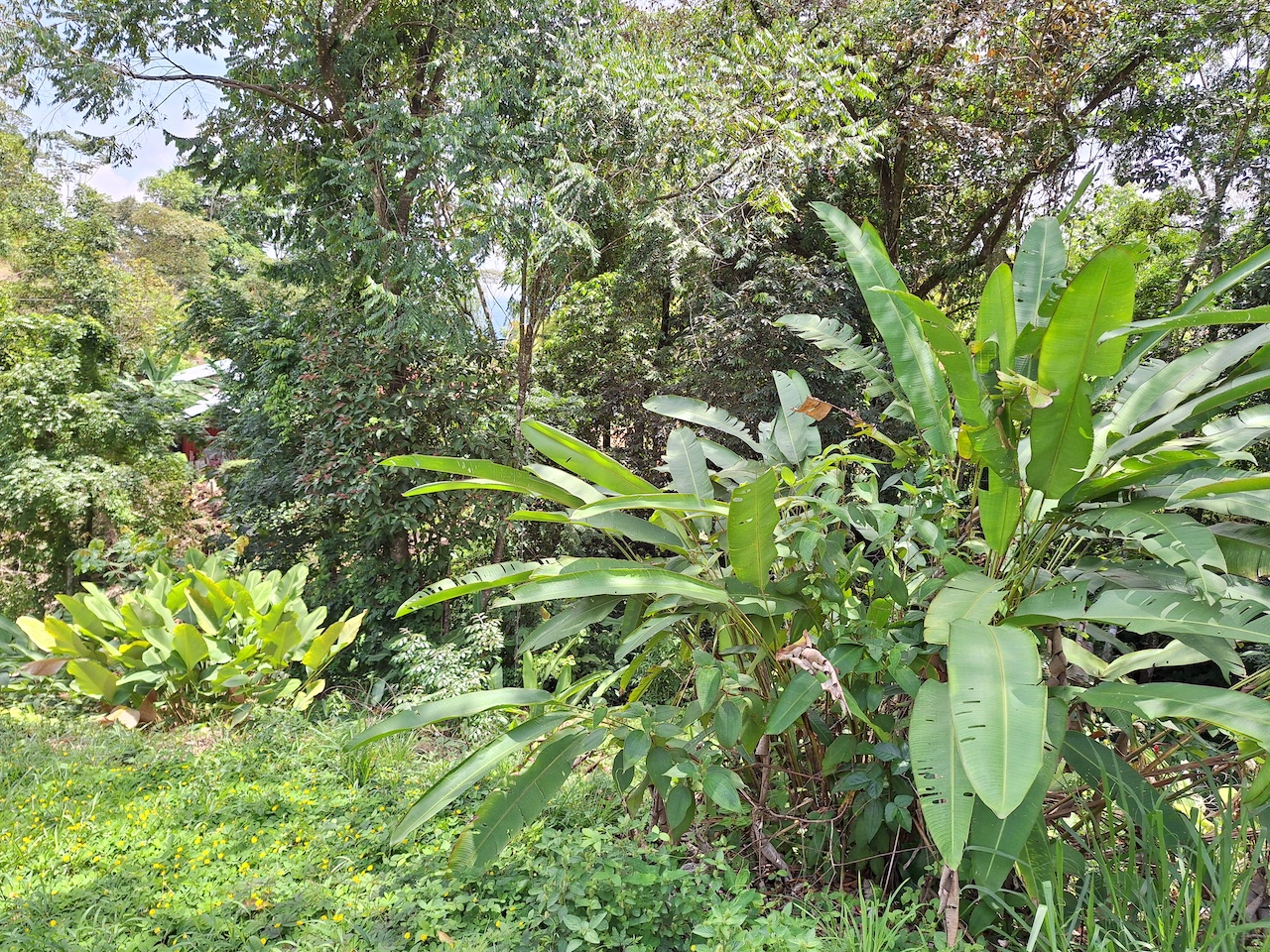 0 bed Land For Sale in Perez Zeledon, San Jose - thumb 7