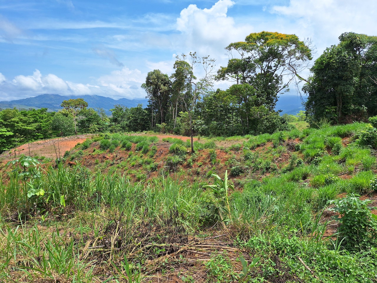 0 bed Land For Sale in Perez Zeledon, San Jose - thumb 4