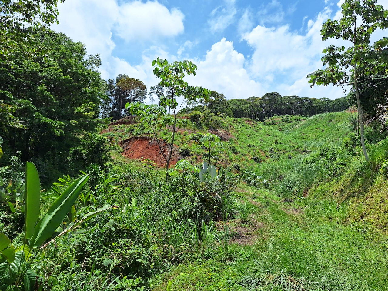 0 bed Land For Sale in Perez Zeledon, San Jose - thumb 11