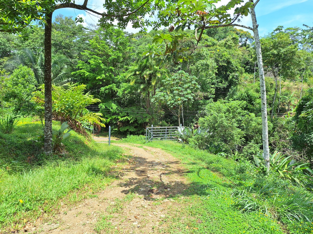 0 bed Land For Sale in Perez Zeledon, San Jose - thumb 6