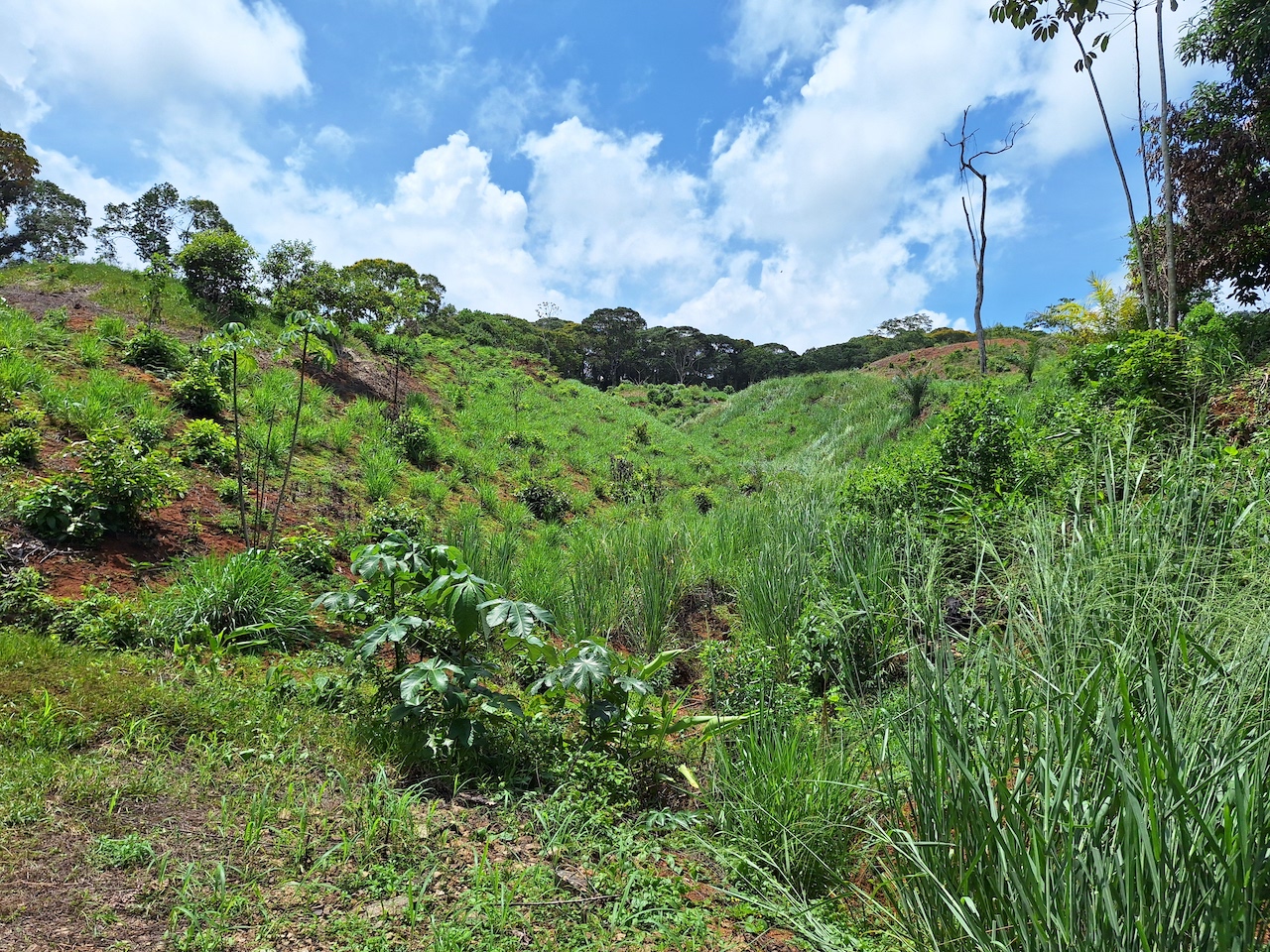 0 bed Land For Sale in Perez Zeledon, San Jose - thumb 12