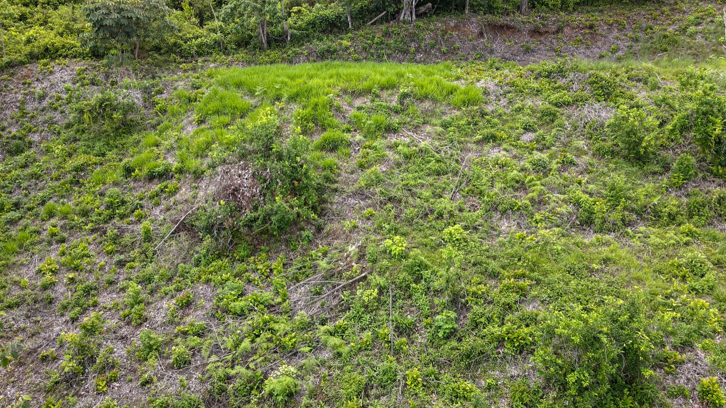 0 bed Land For Sale in Ojochal, Puntarenas - thumb 11