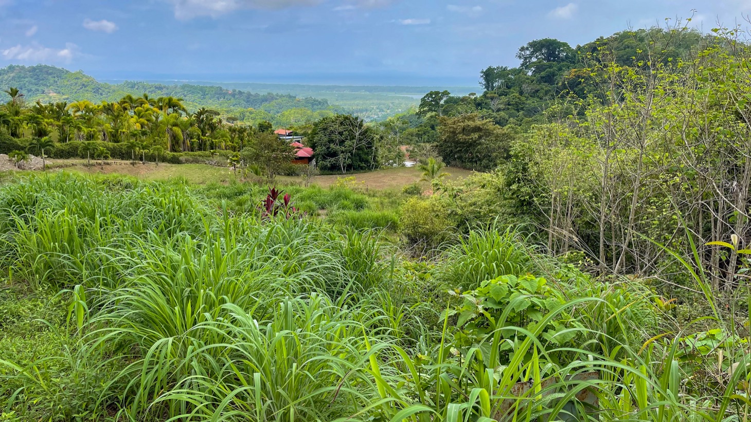 0 bed Land For Sale in Ojochal, Puntarenas - thumb 1