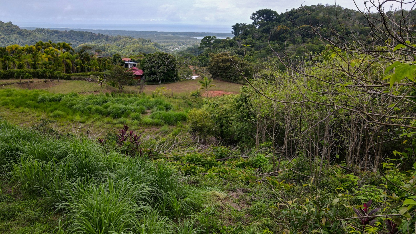 0 bed Land For Sale in Ojochal, Puntarenas - thumb 4