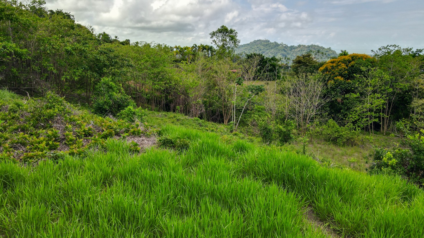 0 bed Land For Sale in Ojochal, Puntarenas - thumb 8
