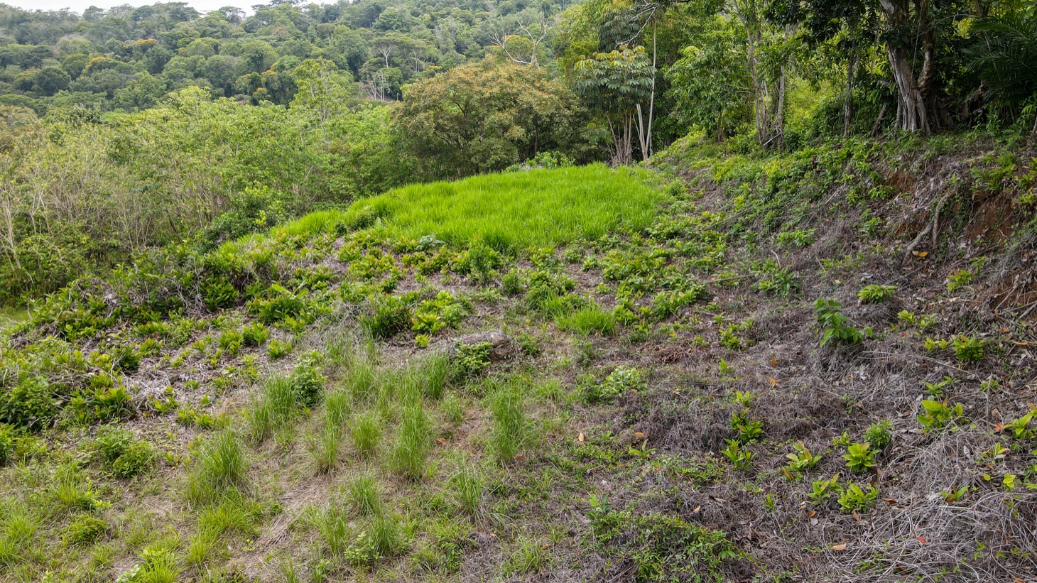 0 bed Land For Sale in Ojochal, Puntarenas - thumb 13