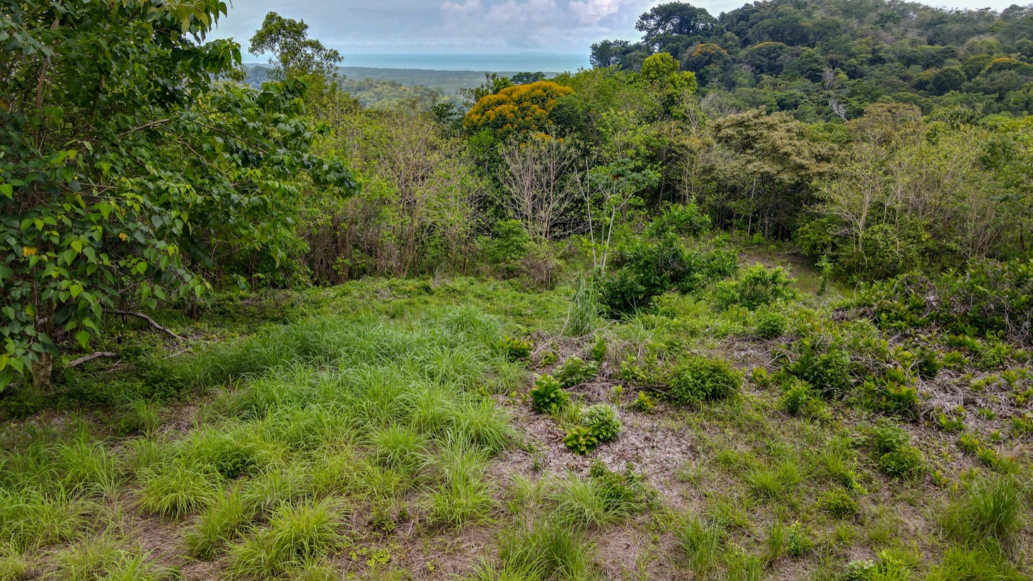 0 bed Land For Sale in Ojochal, Puntarenas - thumb 14