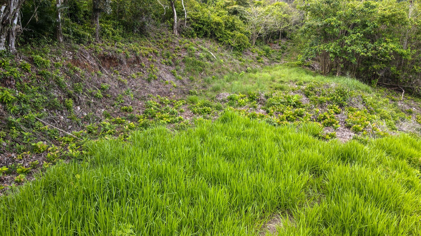 0 bed Land For Sale in Ojochal, Puntarenas - thumb 5