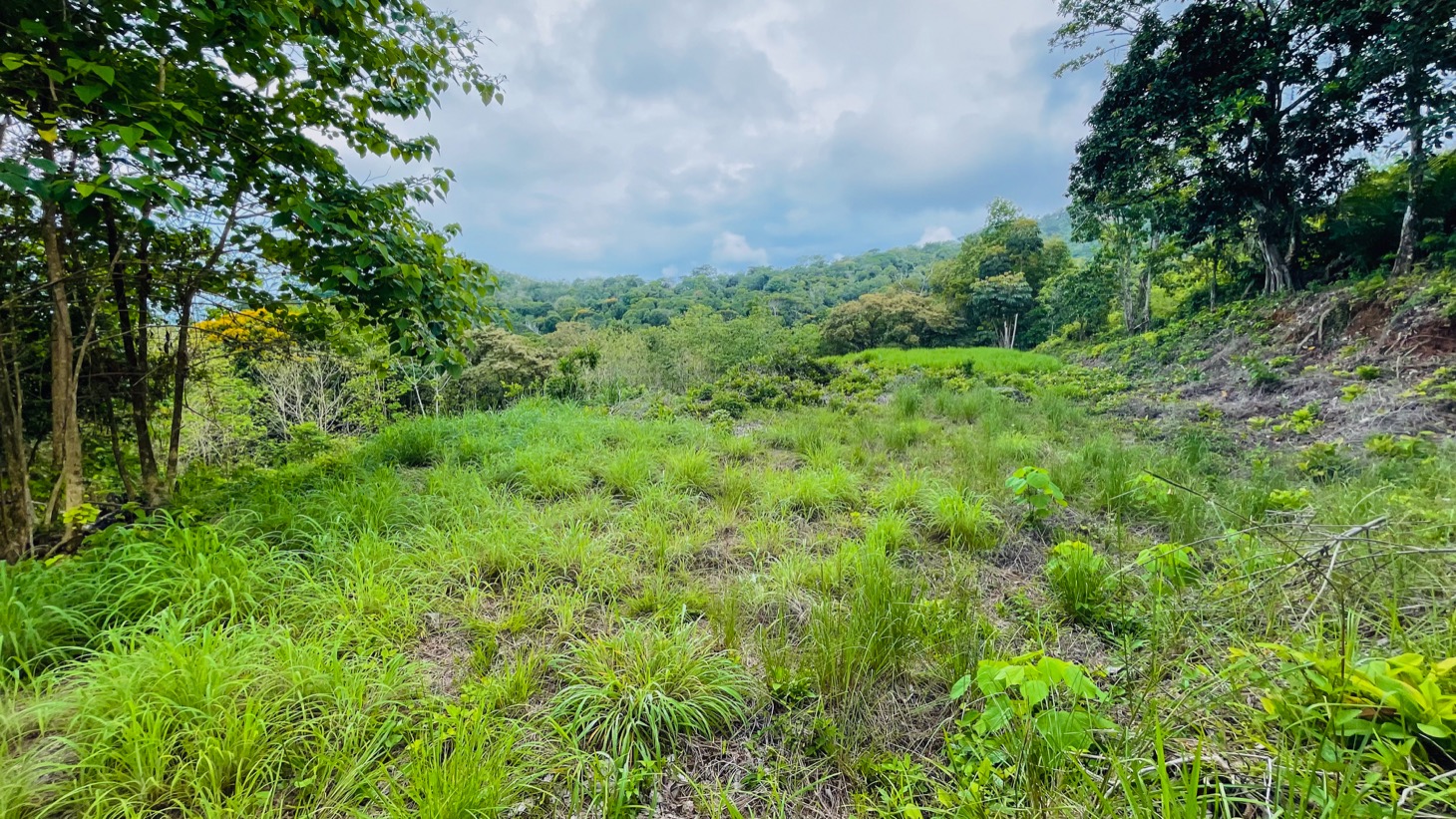 0 bed Land For Sale in Ojochal, Puntarenas - thumb 17