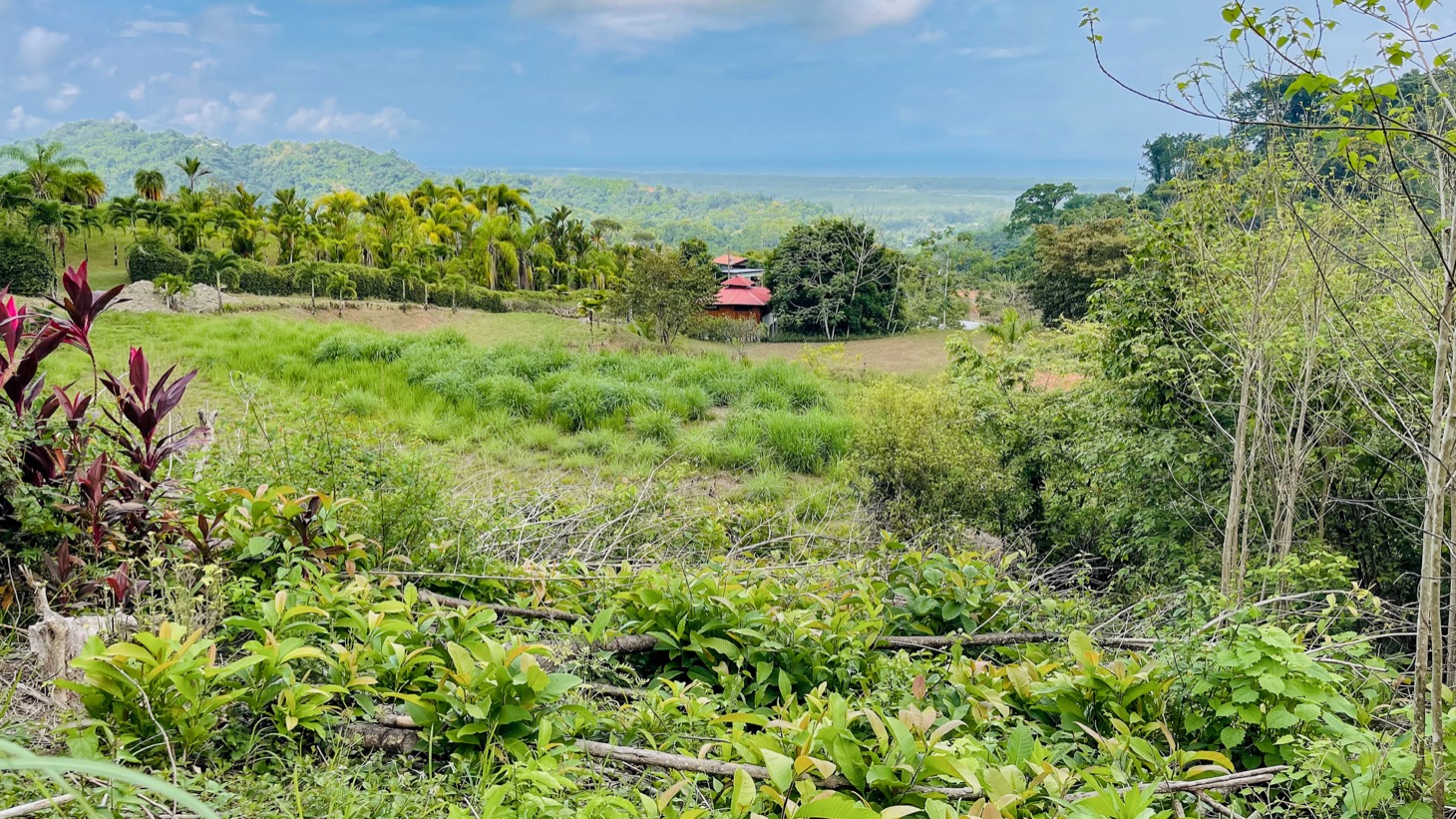0 bed Land For Sale in Ojochal, Puntarenas - thumb 22