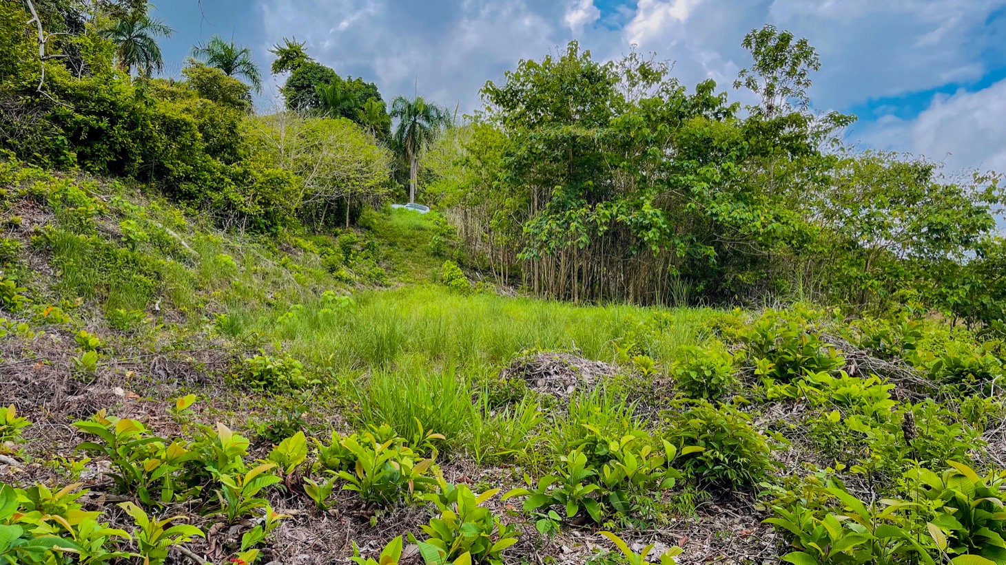 0 bed Land For Sale in Ojochal, Puntarenas - thumb 15