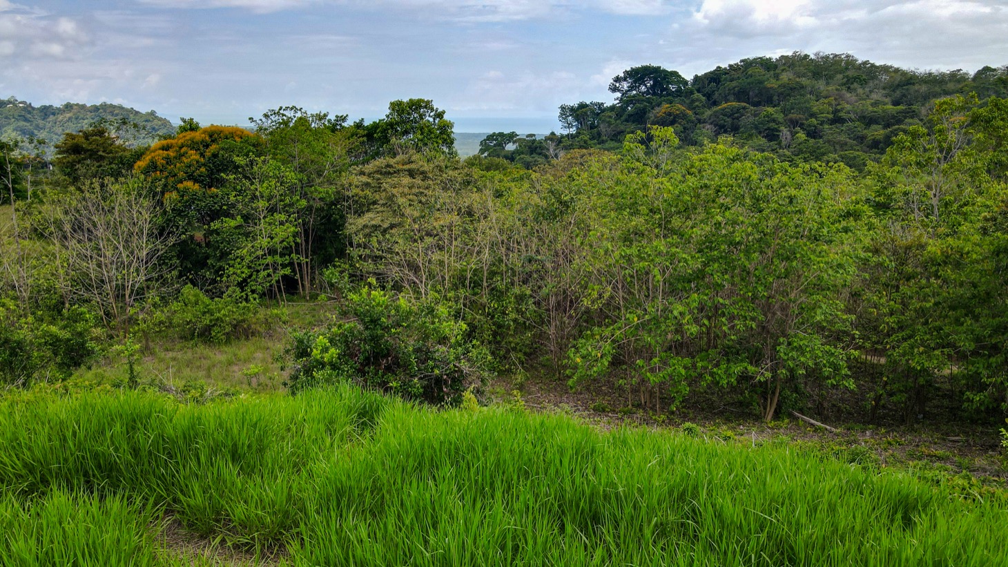 0 bed Land For Sale in Ojochal, Puntarenas - thumb 7