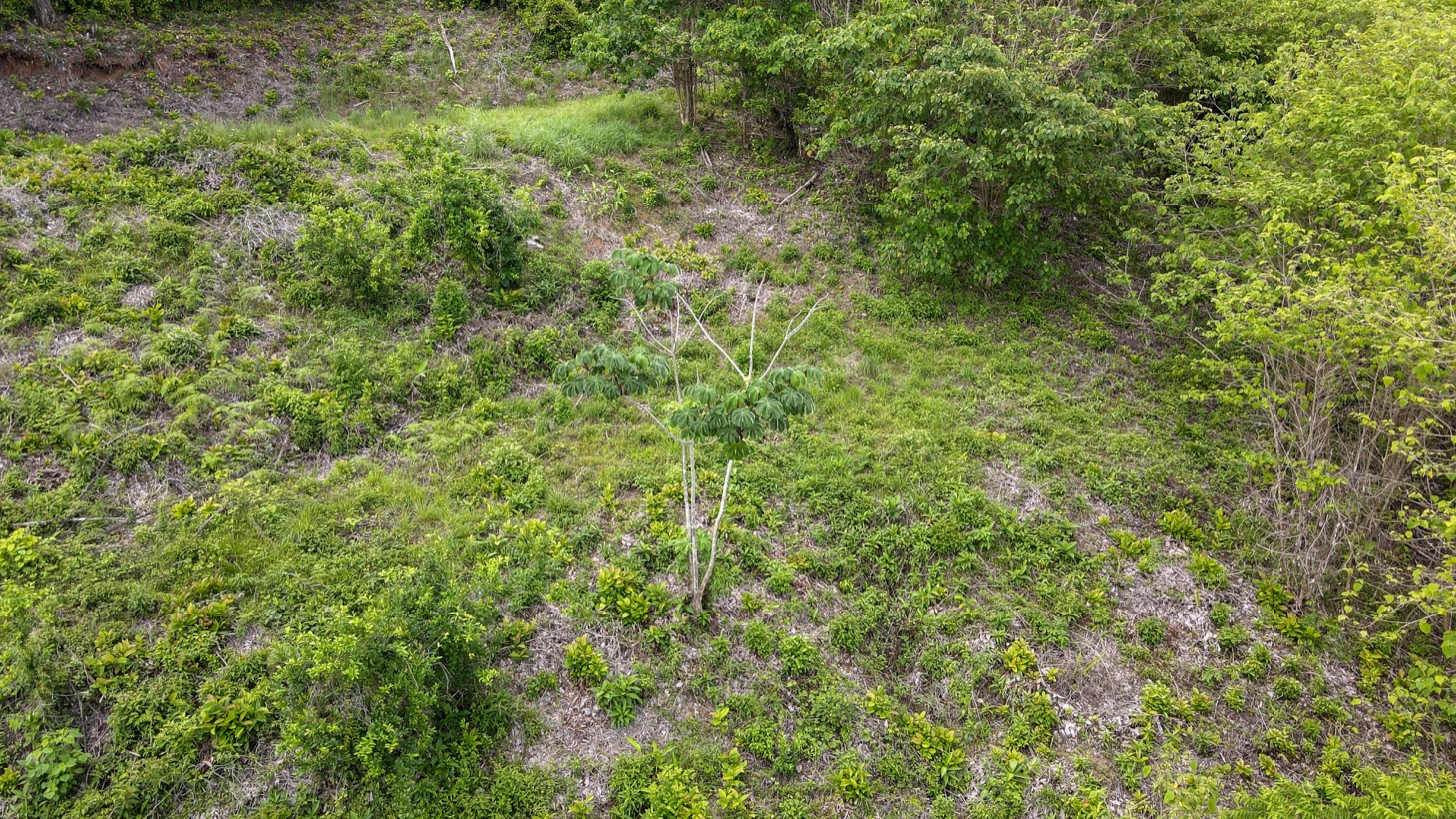 0 bed Land For Sale in Ojochal, Puntarenas - thumb 12