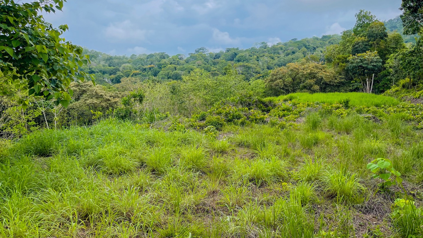 0 bed Land For Sale in Ojochal, Puntarenas - thumb 19
