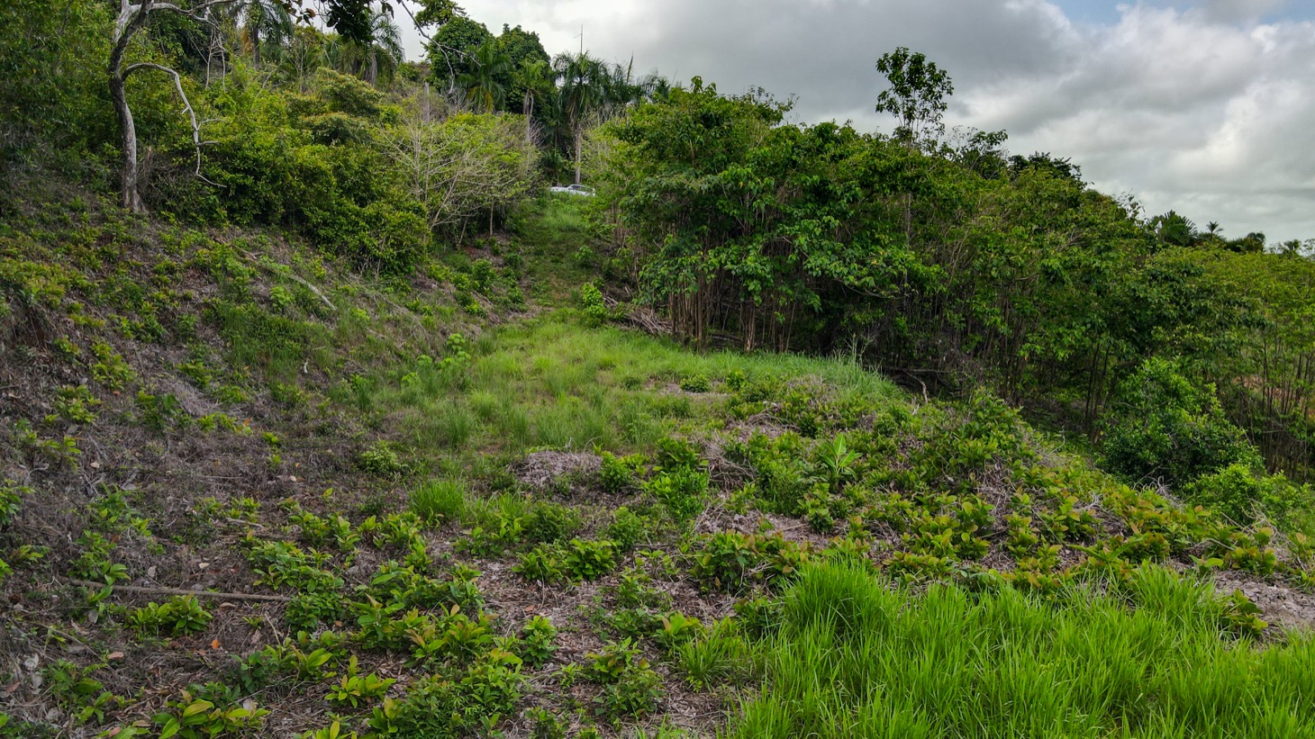0 bed Land For Sale in Ojochal, Puntarenas - thumb 6