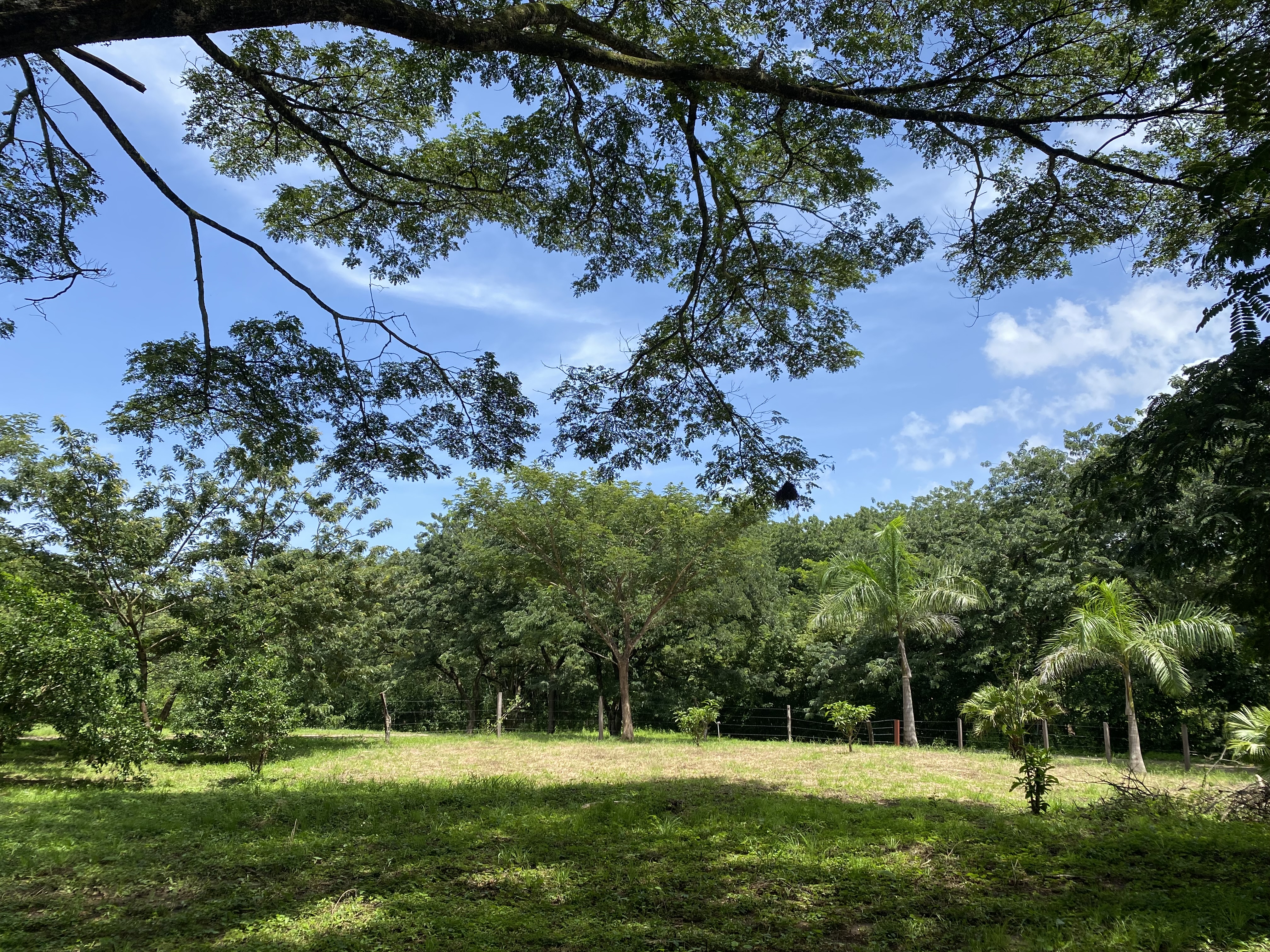 3 bed Single Family Homes For Sale in Samara, Guanacaste - thumb 15