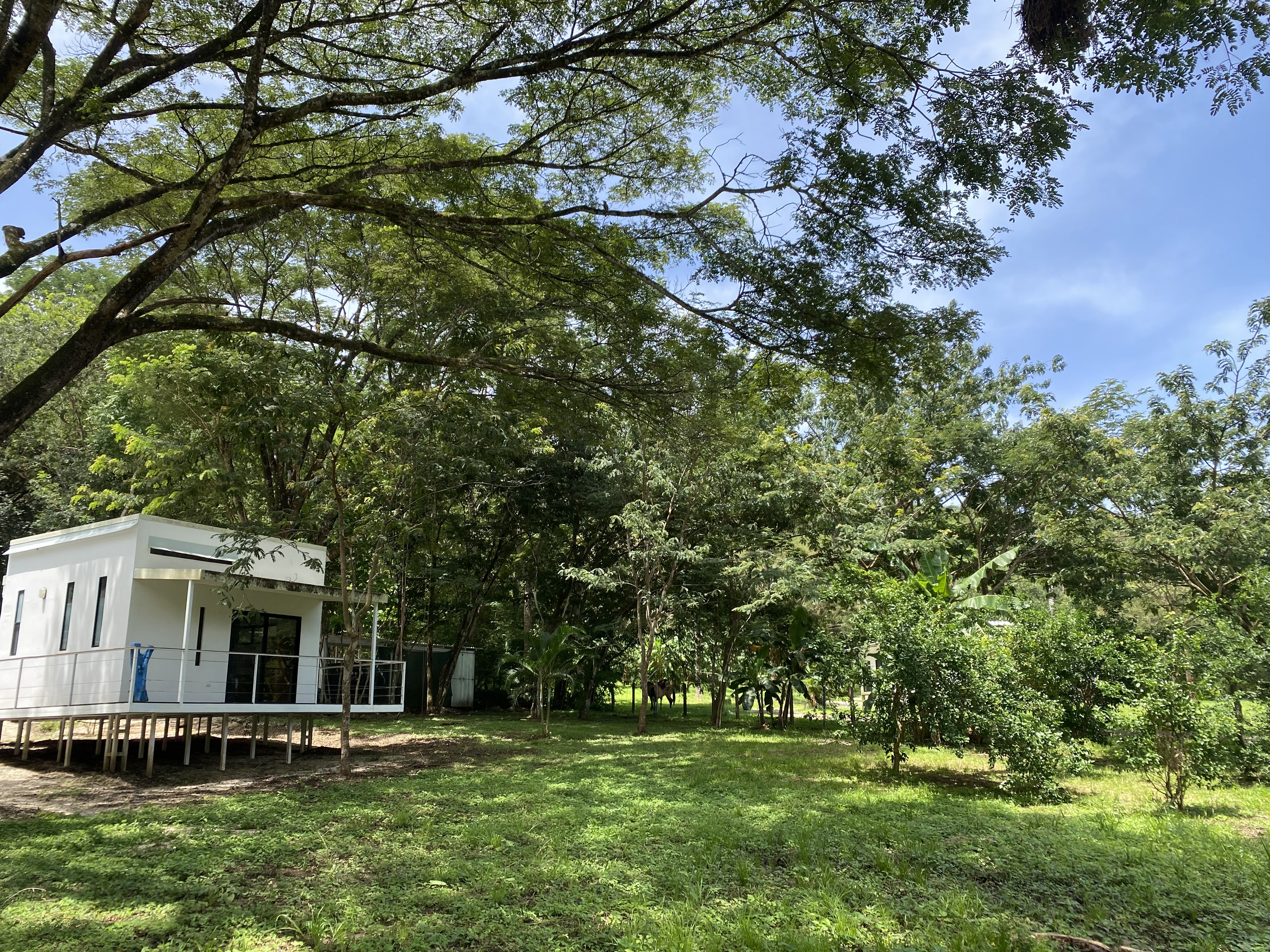 3 bed Single Family Homes For Sale in Samara, Guanacaste - thumb 14